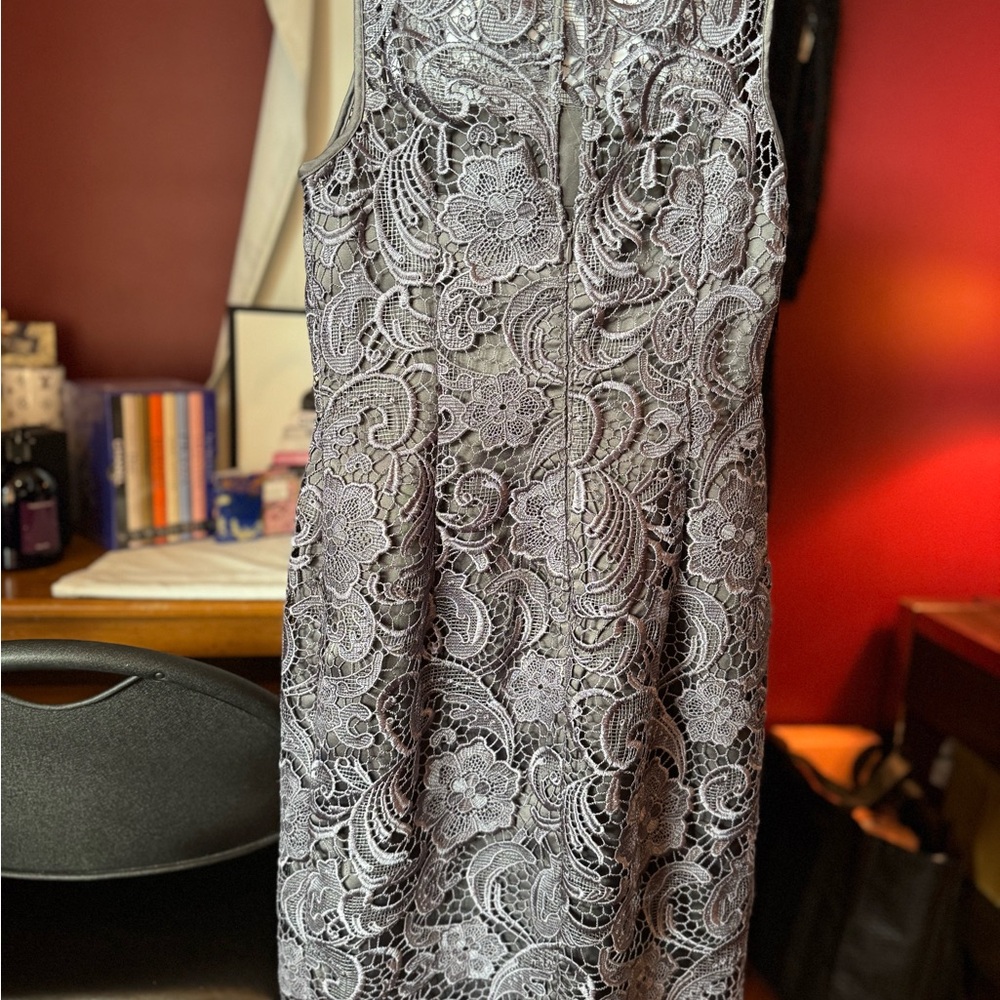 Adrianna Papell Elegant Gray Lace Dress - Picture 5 of 7